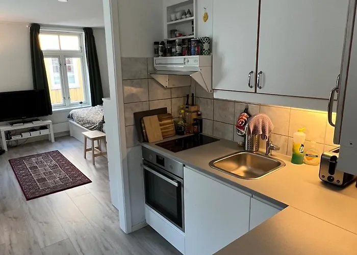 Stor Attraktiv Studioleilighet I Sentrum